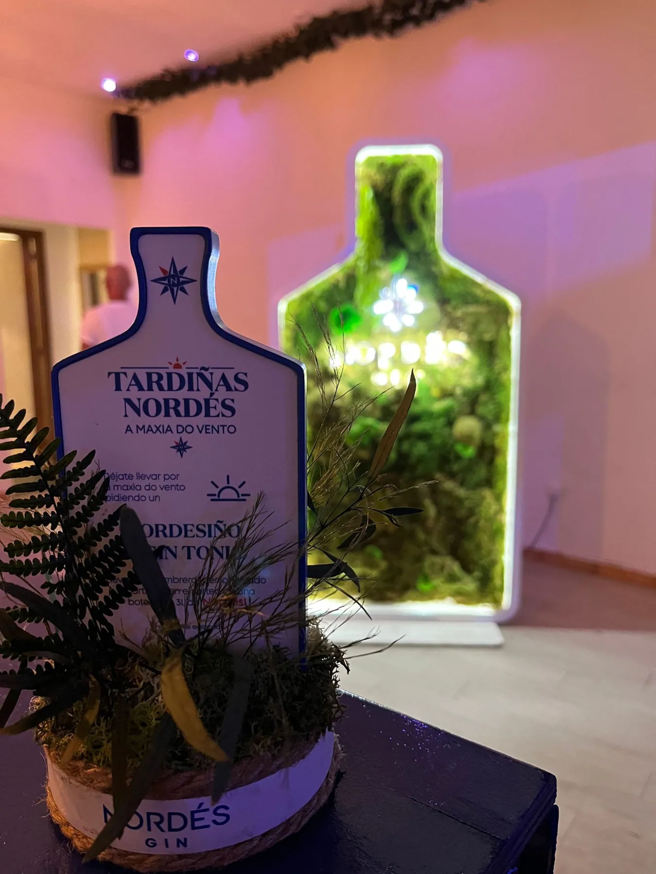 Tardiñas Nordés, imagen 1