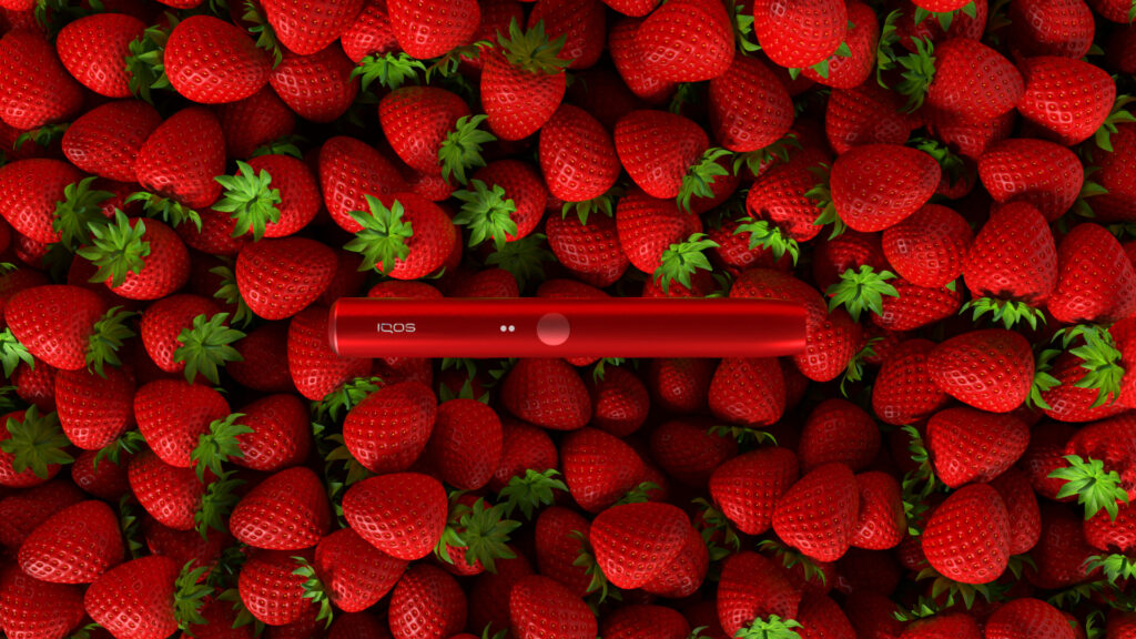 IQOS Strawberry IQOS Strawberry